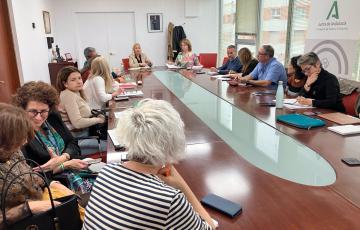 Integrantes del Comité Territorial contra la Violencia de Género de la provincia de Cádiz en una segunda reunión
