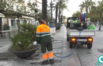 El total de jornadas previstas destinadas al refuerzo extraordinario es de 216