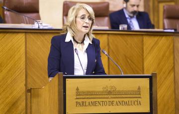 La diputada del PP-A Pilar Pintor interviene en el Pleno del Parlamento andaluz