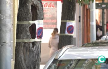 Árboles señalizados para una futura poda en la avenida Brunete
