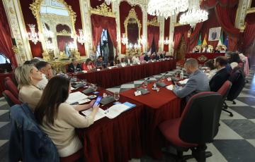 Pleno ordinario de la Diputación de Cádiz del mes de abril. 