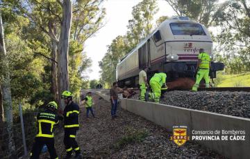 Operarios de Adif y Bomberos retirando las vacas arrolladas por el tren en Jimena