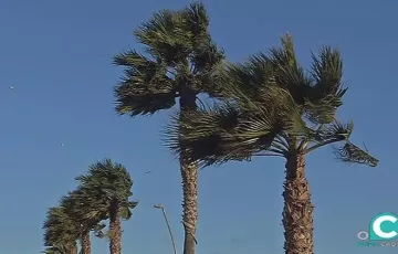 El litoral y la zona del Estrecho, en aviso amarillo por fenómenos costeros. 