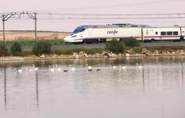 El alcalde de Cádiz ha reclamado al Gobierno central que reponga los 6 trenes que existían hasta el 2020