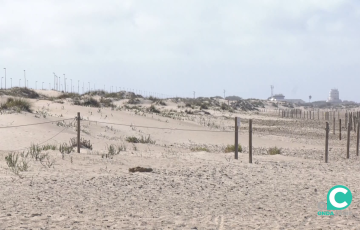 El plan plantea como novedad el servicio de una playa canina en la zona de Torregorda. 