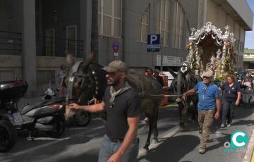 Los romeros gaditanos ya están de vuelta en la ciudad después de una semana de peregrinación. 