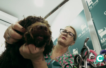 Carmiña Toledo atiende a un "cliente" en su peluquería boutique Oh My Dog!.