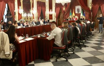 La Diputación de Cádiz celebra el pleno ordinario del mes de junio.