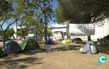 El pasado 7 de junio, los estudiantes levantaron su acampada en el Campus de Puerto Real tras 23 días de movilizaciones.