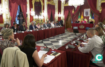 Imagen de un Pleno de la Diputación de Cádiz