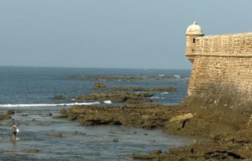 Algas en La Caleta