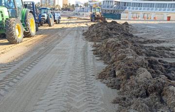 Las maquinas han sido elementos indispensables para de nuevo devolver el estado original a esta zona del litoral urbano