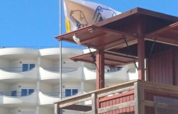 Imagen de las banderas en las torretas situadas a la altura de los módulos central y del antiguo Isecotel.