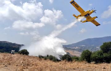 El incendio ha arrasado tres hectáreas de matorral