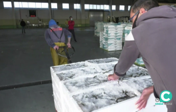 Trabajadores de la factoria transportan cajas de género a su interior para ser subastado