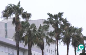 El viento de levante estará presente en Cádiz hasta el domingo.