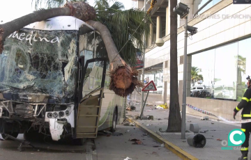 Estado del vehículo sobre la Avenida de Las Cortes de la capital gaditana