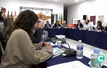 Representantes del las 29 ciudades iberoamericanas en la reunión mantenida en la capital española