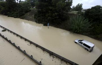 El Ayuntamiento de Jerez ha pedido al Gobierno central que se declare zona catastrófica