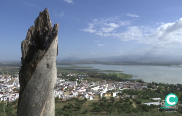 Imagen de la presa de Bornos que ha visto aumentado sus reservas