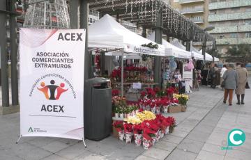 Imagen del mercadillo