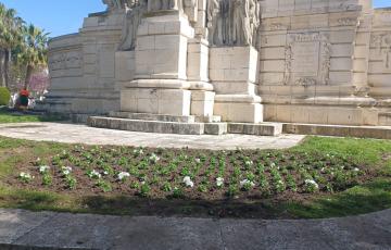 Estado de los jardines de la plaza de España tras la actuación municipal