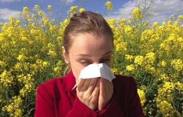 La floración intensa por la alta humedad a puesto de nuevo a prueba a las personas más sensibles a las afecciones respiratorias