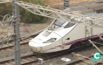 Imagen de archivo de un tren a su llegada a la estación de la capital gaditana