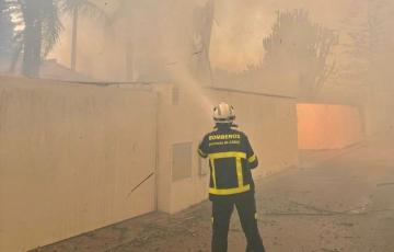 Un bombero intenta sofocar el fuego sobre la arboleda de la zona