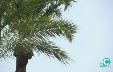 El litoral gaditano se mantiene este sábado en aviso por fuertes vientos. 