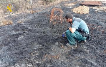 Un agente del Seprona investiga las causas de un incendio