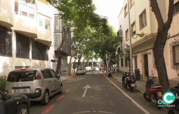 Árboles en una calle de la capital gaditana