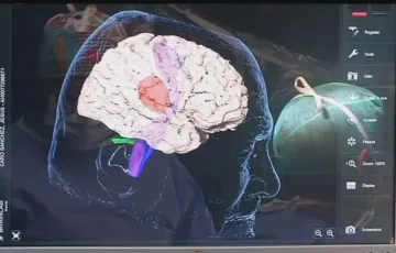 Cádiz es la tercera provincia de Andalucía en decesos por detrás de Sevilla y Málaga. 