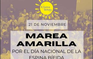 La entidad ha pedido a los participantes que vistan una camiseta amarilla para formar una gran marea por las calles de la ciudad
