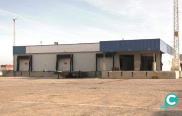 A licitación la construcción y explotación de una terminal de pasajeros de cruceros en el muelle Reina Sofía.