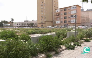 Terrenos donde se ubicará el nuevo proyecto en la capital gaditana