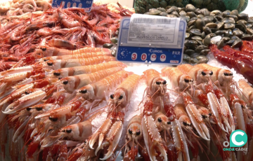 Productos expuestos en el mercado