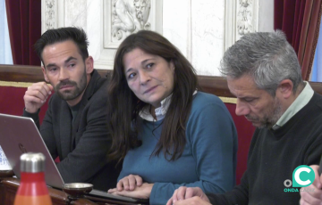La concejal de Adelante Izquierda Gaditana durante un pleno municipal