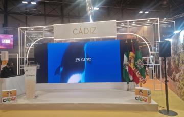 Stand de Cádiz en el pabellón de Andalucía de Fitur 2026. Diputación