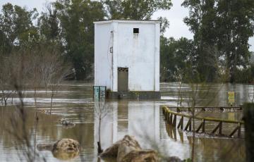 Imágenes del río Guadalete a su paso por la barriada de la Corta