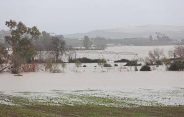 Imagen de la vega del Guadalete inundada tras el desbordamiento del río a su paso por la localidad gaditana de Jerez.