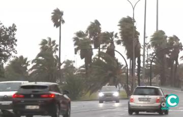 Imagen reciente del temporal en la ciudad de Cádiz. 