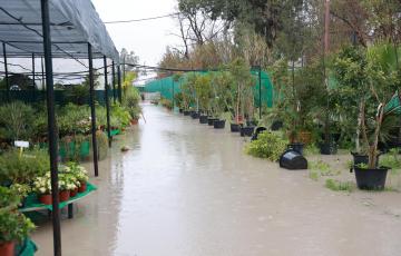 Un invernadero inundado tras el desbordamiento del río Guadalete a su paso por la localidad de Jerez.