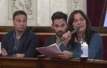 Helena Fernández de AIG durante una sesión plenaria muncipal