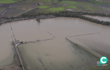 Zonas de cultivo anegadas por el agua por los efectos de las pasadas lluvias en una vista aerea