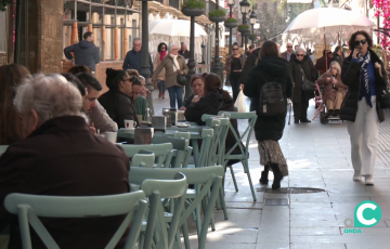  Los servicios vuelven a marcar la diferencia en la evolución del mercado laboral