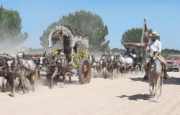 Una de las hermandades del Rocío en su camino de peregrinación