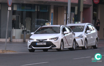 Vehículos a la espera de clientes en una parada de la capital gaditana