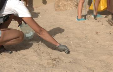 Una voluntaria recogiendo colillas en la playa Santa María del Mar.