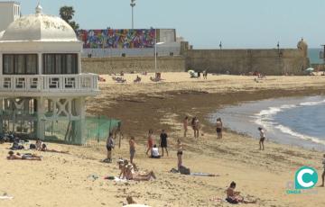 La Caleta, una de las playas afectadas por la invasión del alga Rugulopterix okamurae. 